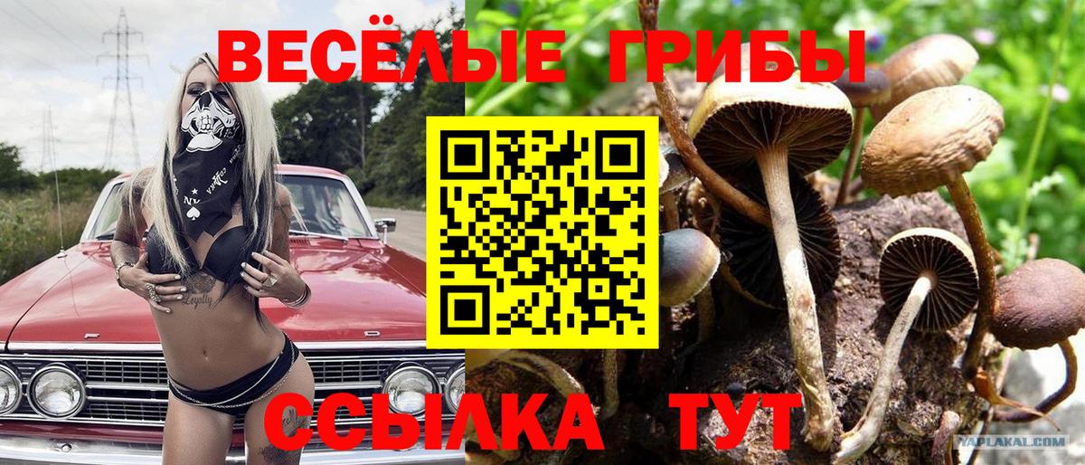 Калининград  Галлюциногенные грибы мицелий  закладки  Вход с VPN 