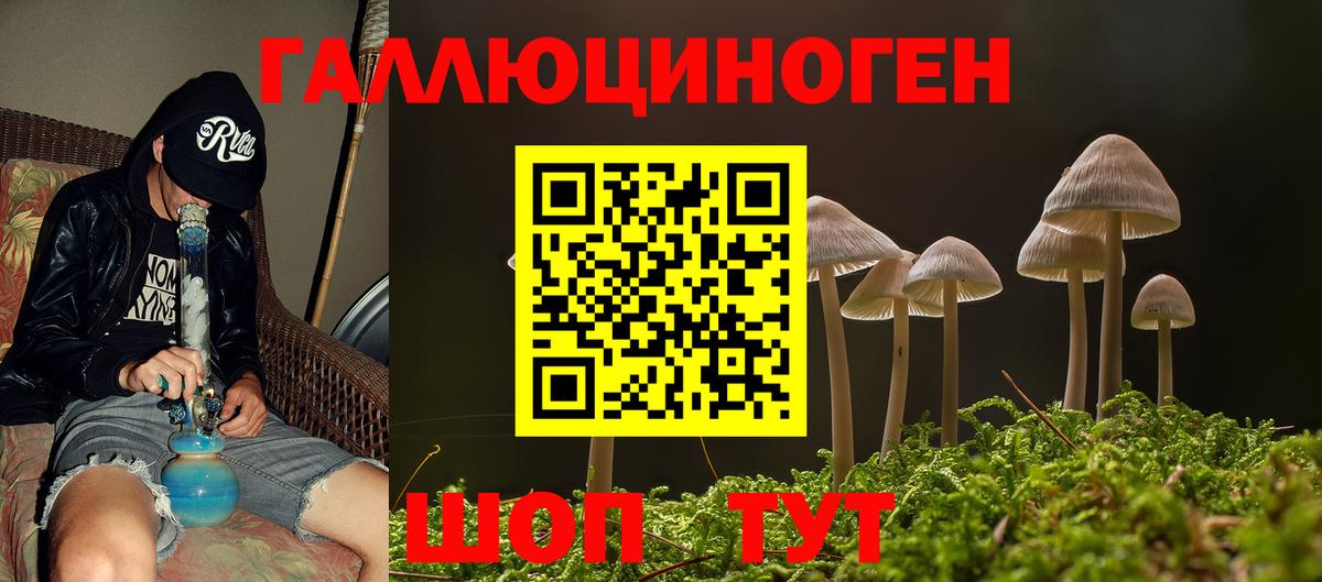 Галлюциногенные грибы мицелий Калининград